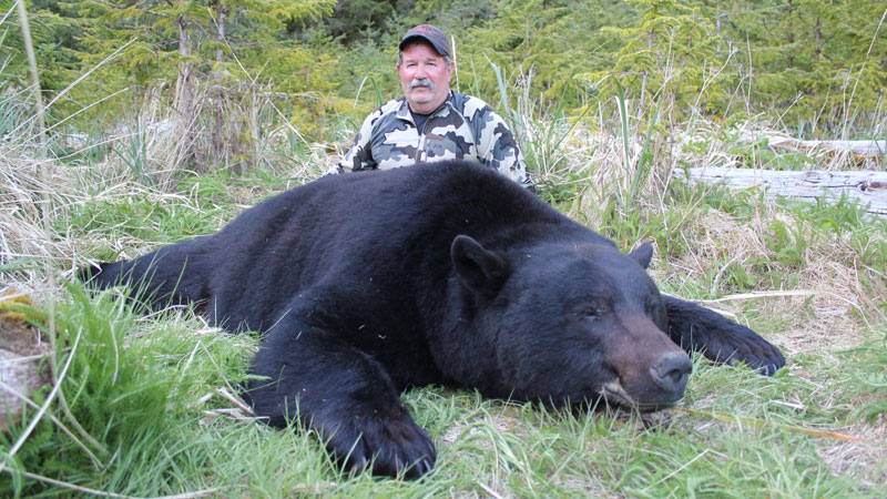 Black Bear hunting - BC, Canada Hunting Trips Vancouver Island - Fraser River Outfitters Black Bear hunting - BC, Canada Hunting Trips Vancouver Island - Fraser River Outfitters